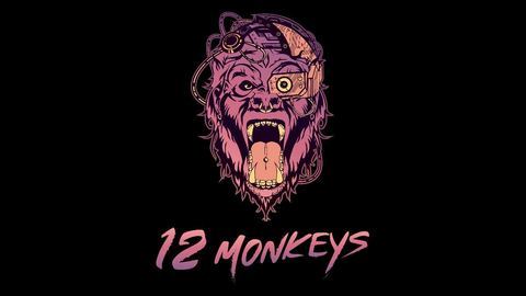 12 MONKEYS